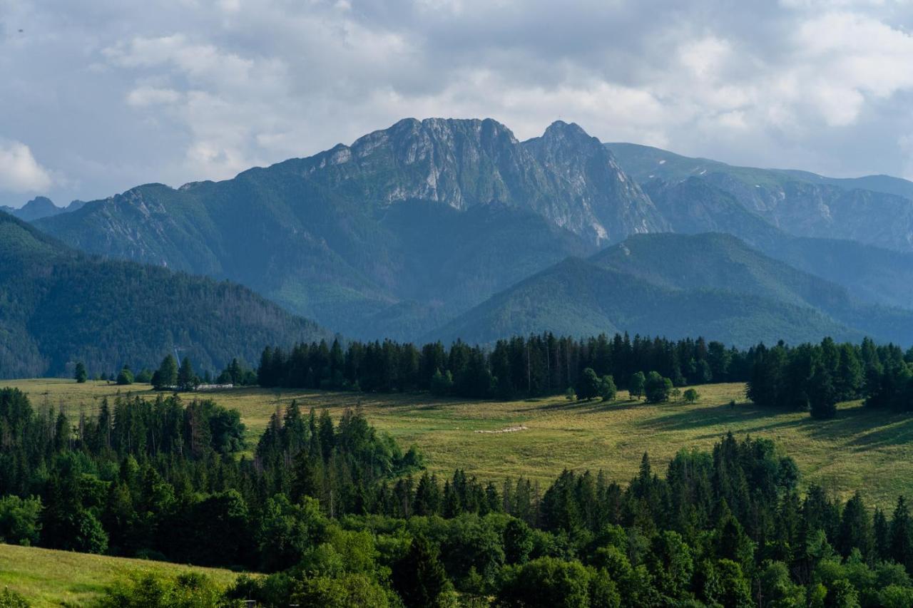 Willa Rzepicha Zakopane Bagian luar foto